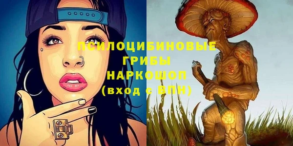 стаф Абинск