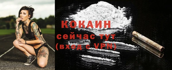 стаф Абинск
